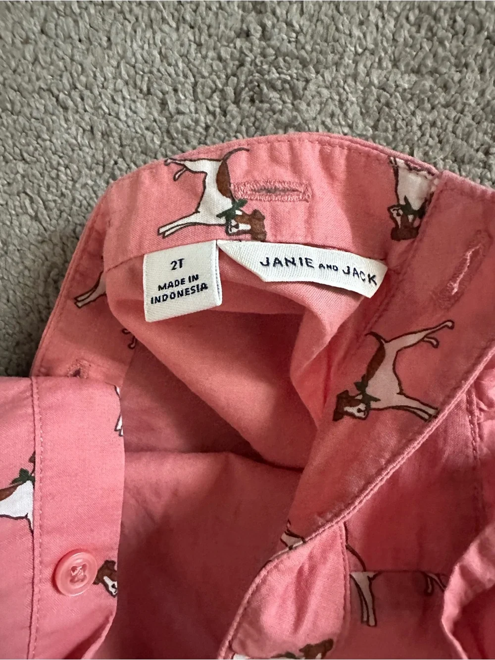Janie and Jack 2T Pink Ruffled Dog-Print Dress with Green Bow